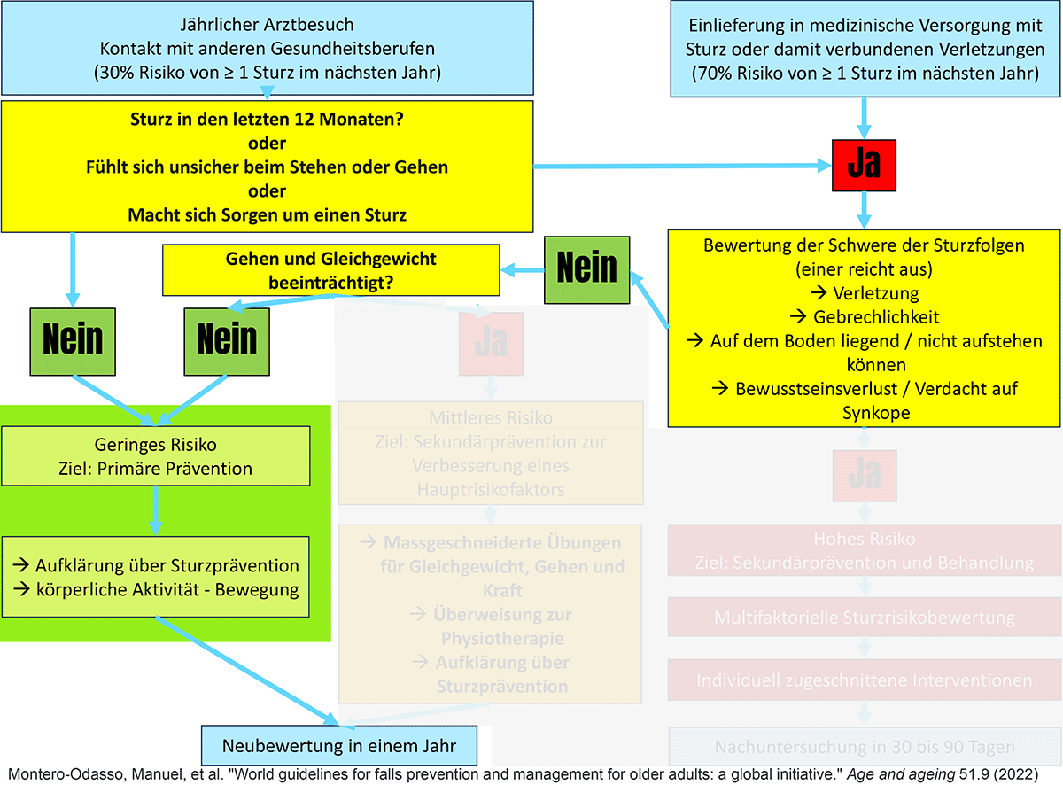 Algorithmus Sturzrisiko